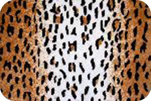 Cuddle Cheetah II Ivory/Gold